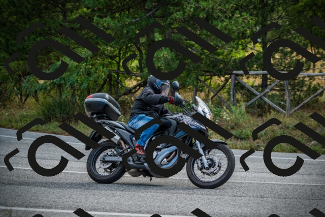 202509141011-DSC03992_c1_