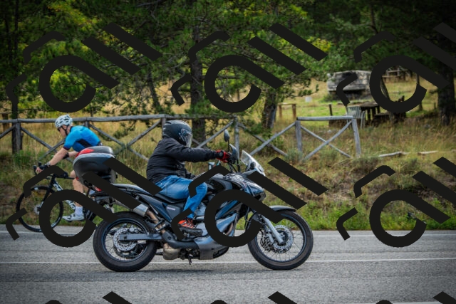 202509141011-DSC03993_c1_