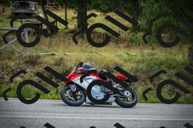 202509141012-DSC04001_c1_