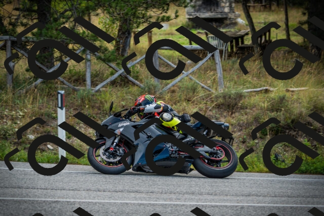 202509141013-DSC04016_c1_