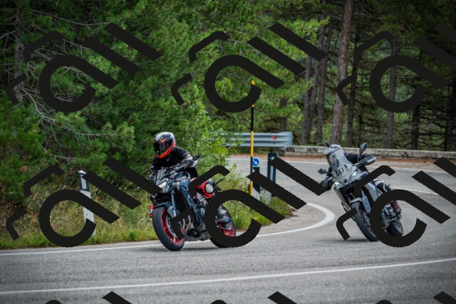 202509141013-DSC04029_c1_