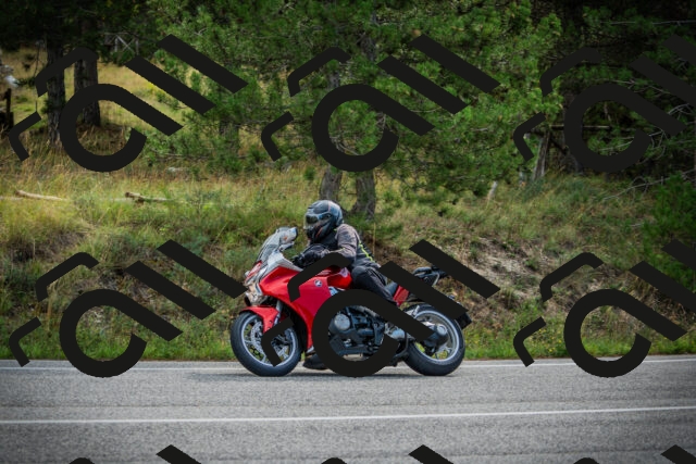 202509141017-DSC04059_c1_