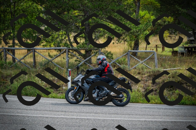 202509141017-DSC04063_c1_