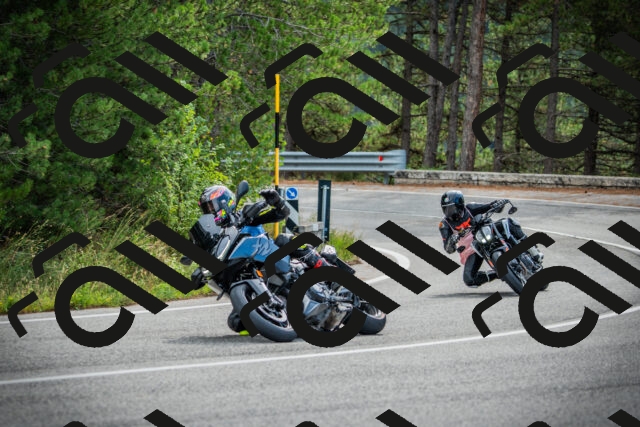 202509141017-DSC04068_c1_