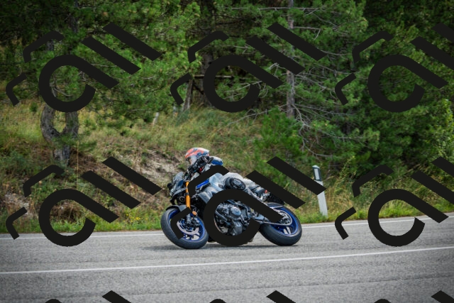 202509141017-DSC04074_c1_