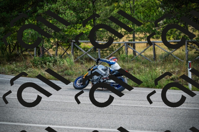 202509141017-DSC04076_c1_