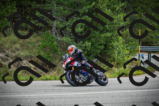 202509141018-DSC04081_c1_