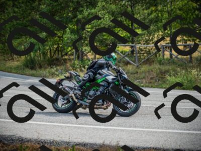 202509141026-DSC04180_c1_