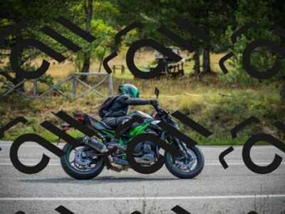 202509141026-DSC04181_c1_