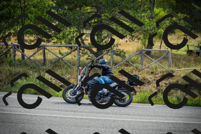 202509141027-DSC04211_c1_