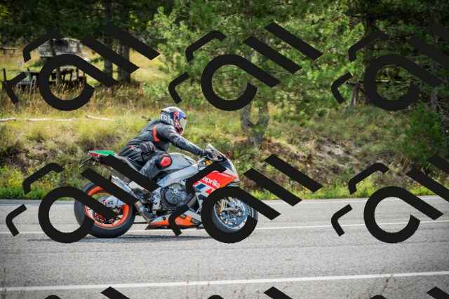 202509141030-DSC04252_c1_