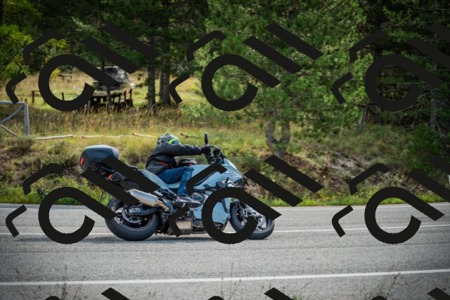 202509141033-DSC04267_c1_