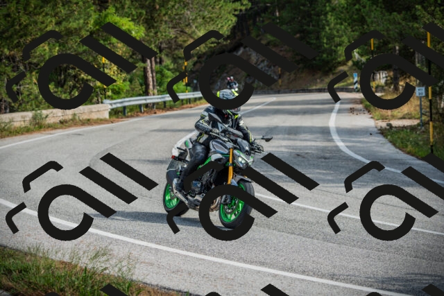 202509141033-DSC04270_c1_