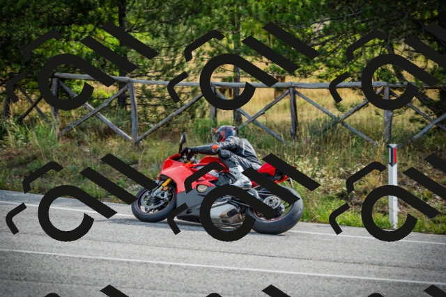 202509141033-DSC04284_c1_