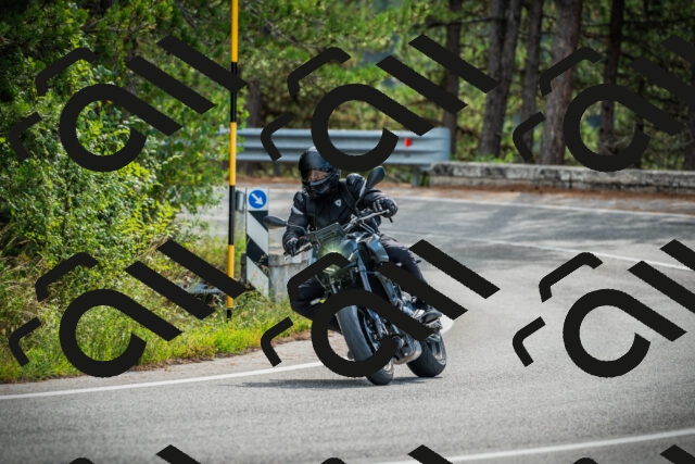 202509141033-DSC04286_c1_