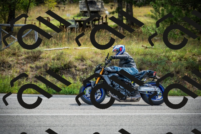 202509141034-DSC04305_c1_