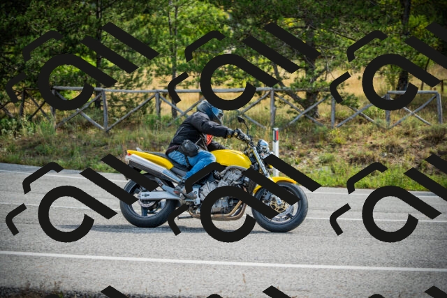 202509141035-DSC04311_c1_