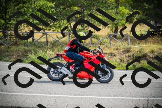 202509141037-DSC04330_c1_