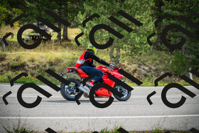 202509141037-DSC04331_c1_