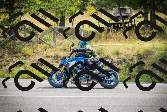 202509141038-DSC04343_c1_