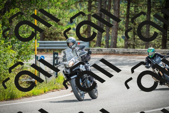 202509141040-DSC04367_c1_