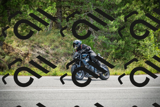 202509141041-DSC04379_c1_