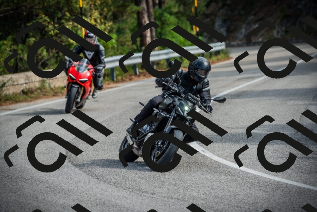 202509141044-DSC04422_c1_