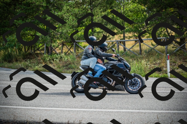 202509141045-DSC04431_c1_