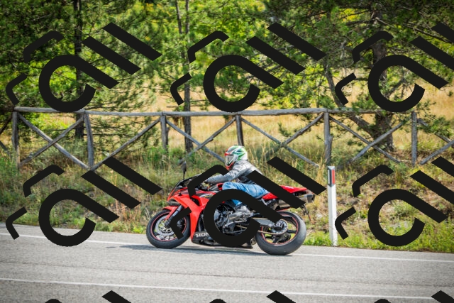 202509141049-DSC04465_c1_