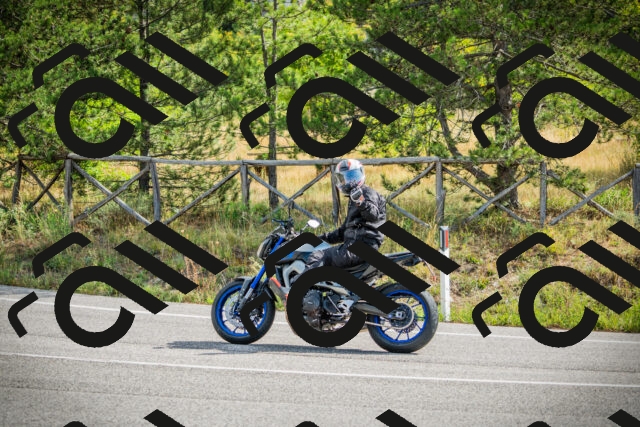 202509141050-DSC04476_c1_