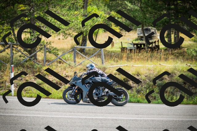 202509141050-DSC04481_c1_