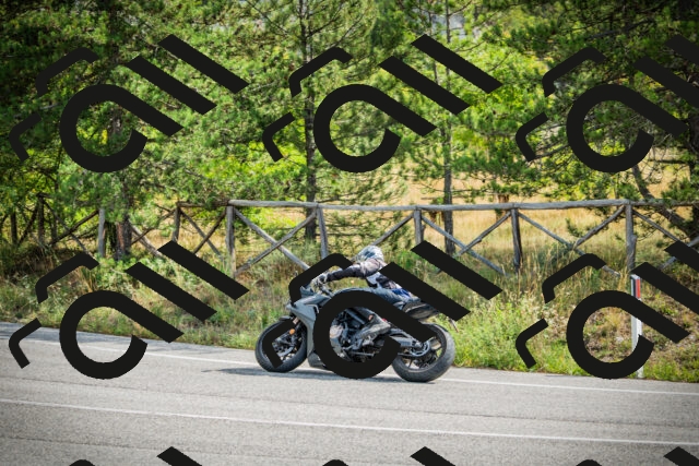 202509141050-DSC04482_c1_