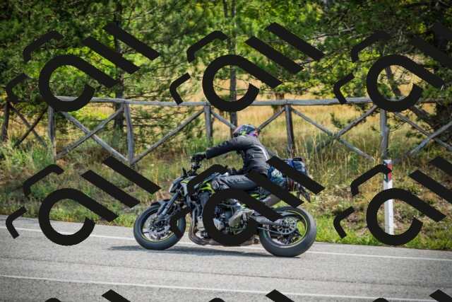 202509141056-DSC04599_c1_