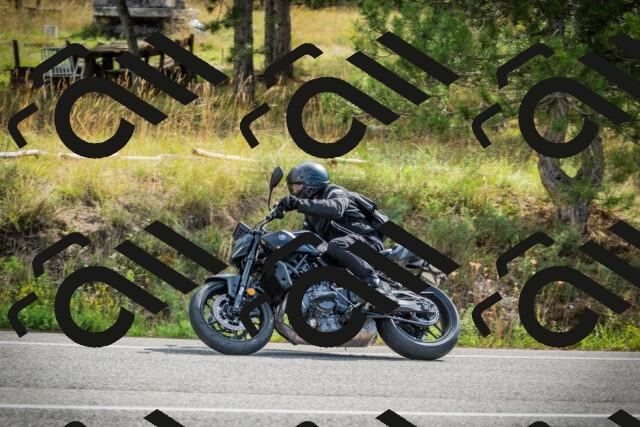 202509141056-DSC04603_c1_