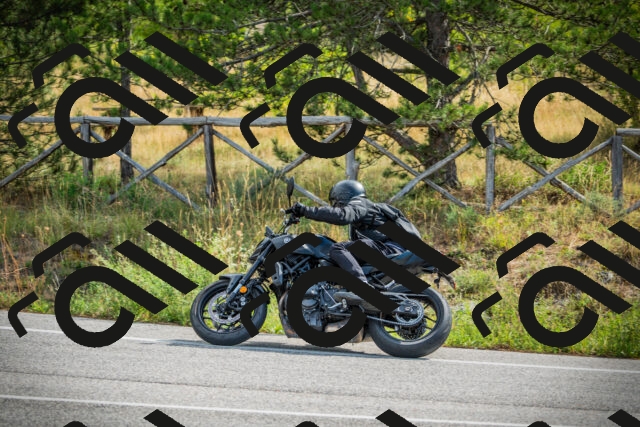 202509141056-DSC04604_c1_