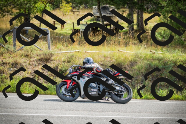 202509141057-DSC04617_c1_