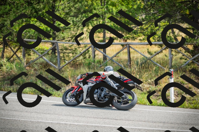 202509141057-DSC04618_c1_