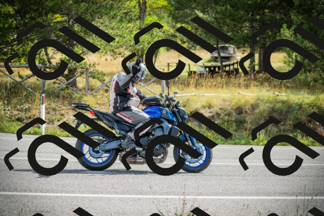 202509141057-DSC04628_c1_