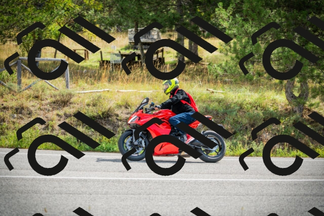 202509141057-DSC04631_c1_