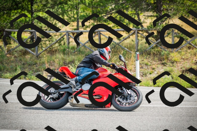 202509141057-DSC04636_c1_