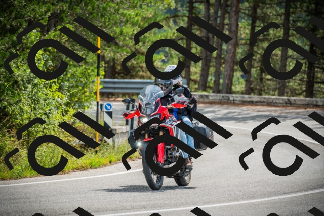 202509141057-DSC04642_c1_