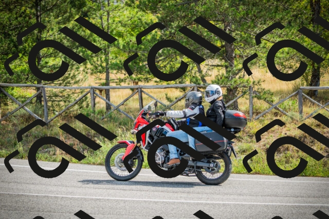 202509141057-DSC04646_c1_