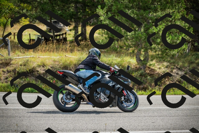 202509141058-DSC04655_c1_