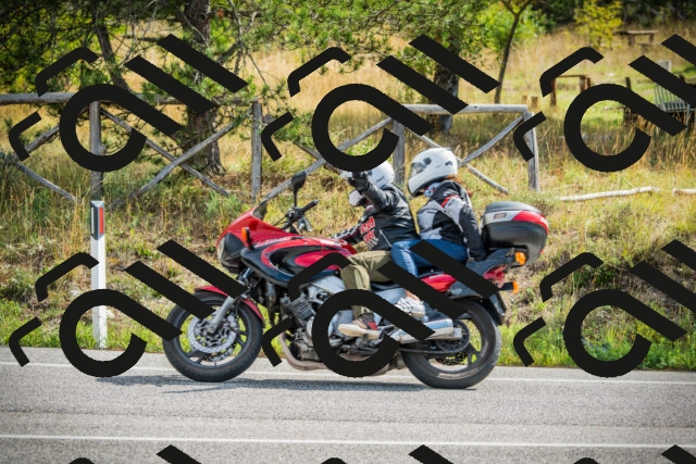 202509141059-DSC04681_c1_