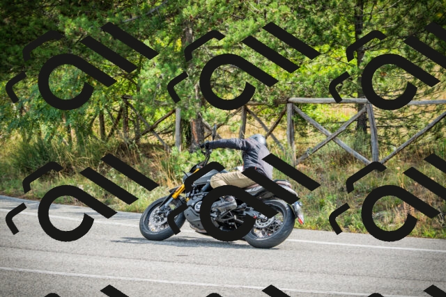 202509141059-DSC04702_c1_