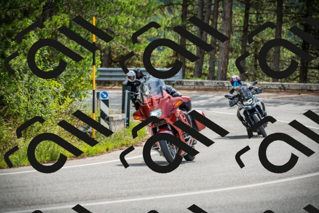 202509141100-DSC04704_c1_