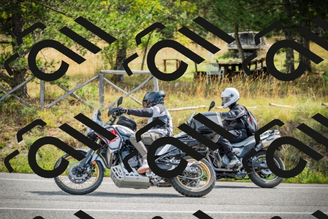 202509141100-DSC04709_c1_