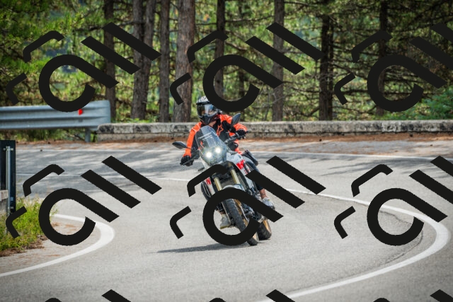 202509141100-DSC04713_c1_