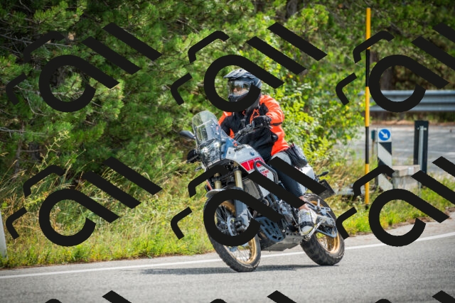 202509141100-DSC04715_c1_