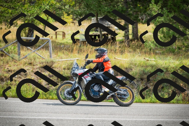 202509141100-DSC04716_c1_